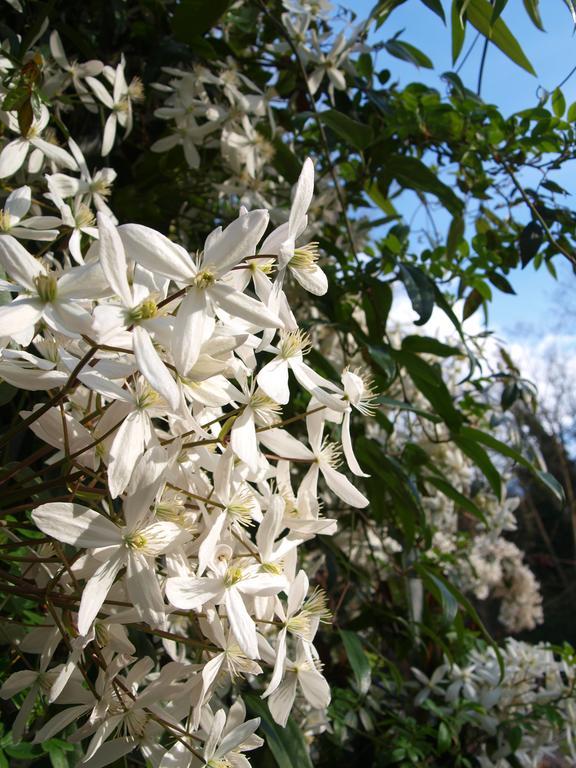 Gite Au Jardin Meilhan-sur-Garonne Bilik gambar