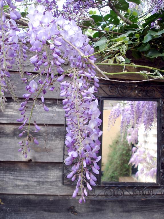 Gite Au Jardin Meilhan-sur-Garonne Bilik gambar