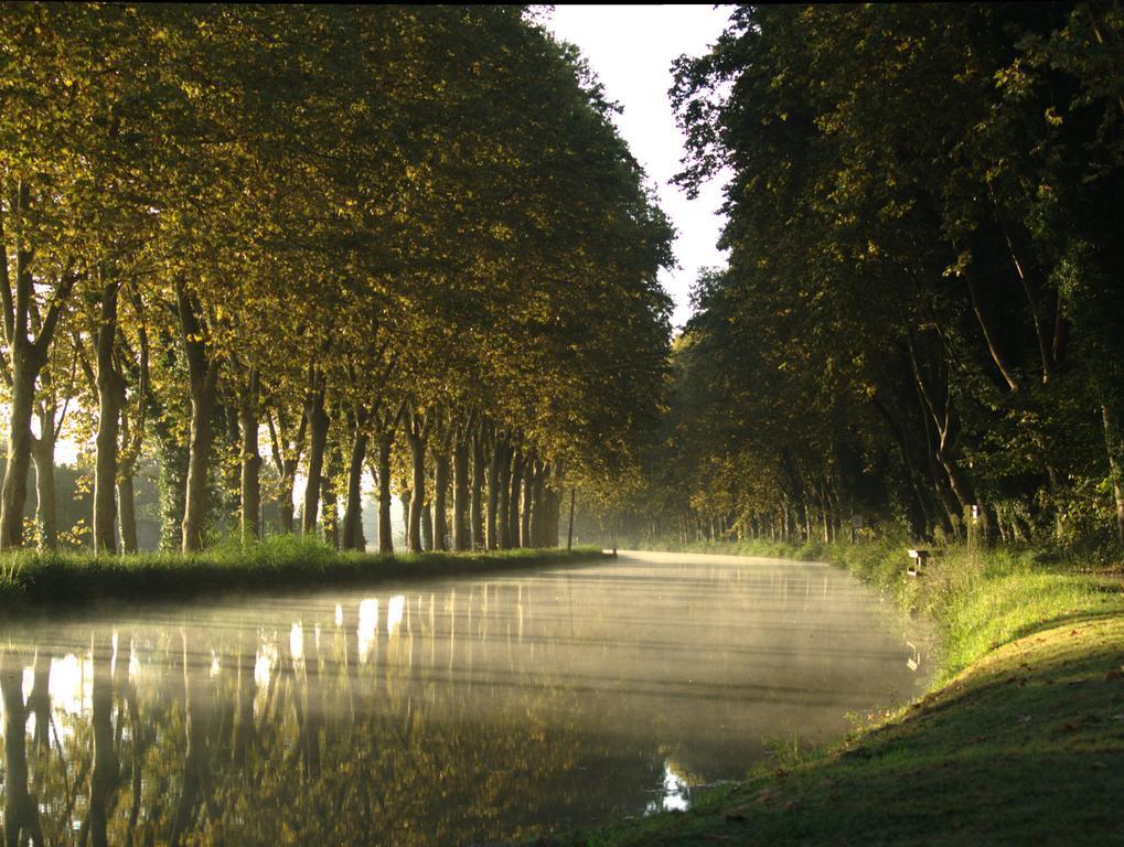 Gite Au Jardin Meilhan-sur-Garonne Bilik gambar