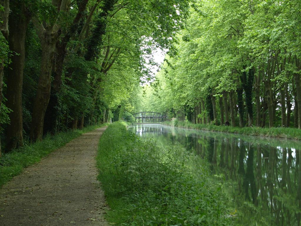 Gite Au Jardin Meilhan-sur-Garonne Bilik gambar