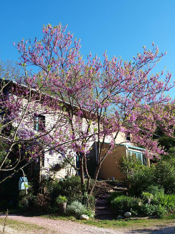 Gite Au Jardin Meilhan-sur-Garonne Bilik gambar