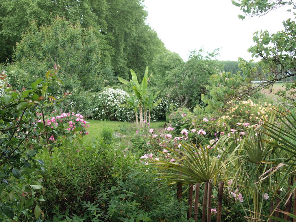 Gite Au Jardin Meilhan-sur-Garonne Bilik gambar