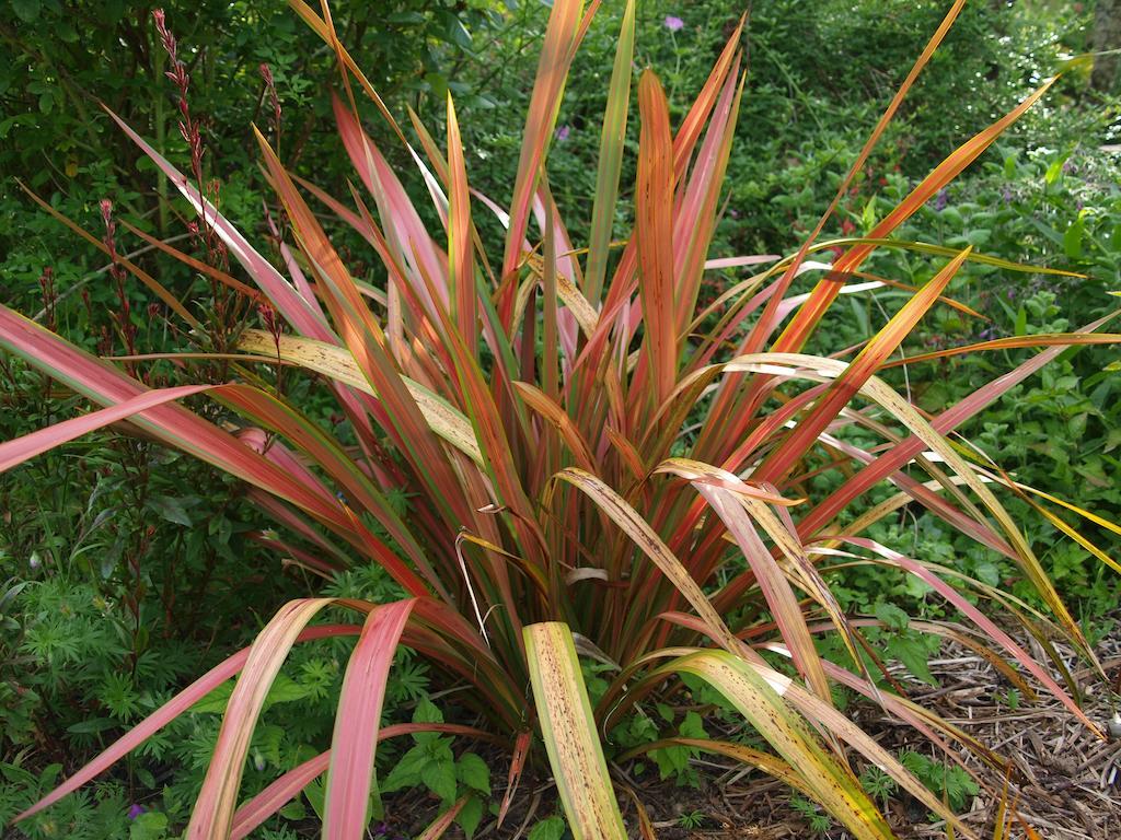 Gite Au Jardin Meilhan-sur-Garonne Bilik gambar