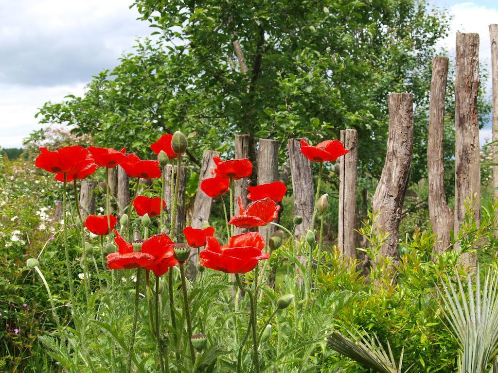 Gite Au Jardin Meilhan-sur-Garonne Bilik gambar