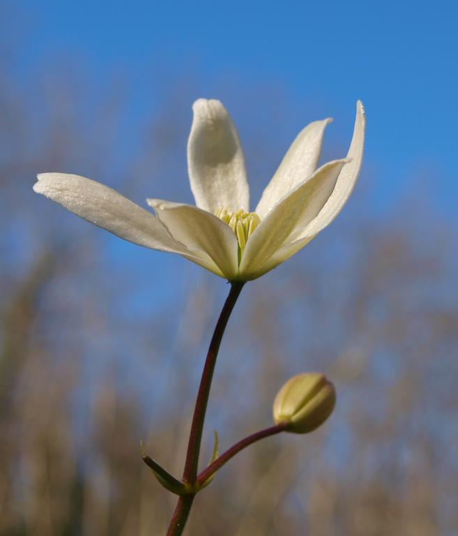 Gite Au Jardin Meilhan-sur-Garonne Bilik gambar