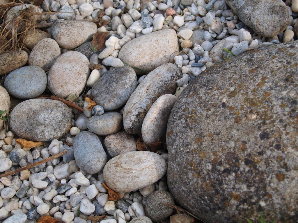 Gite Au Jardin Meilhan-sur-Garonne Bilik gambar