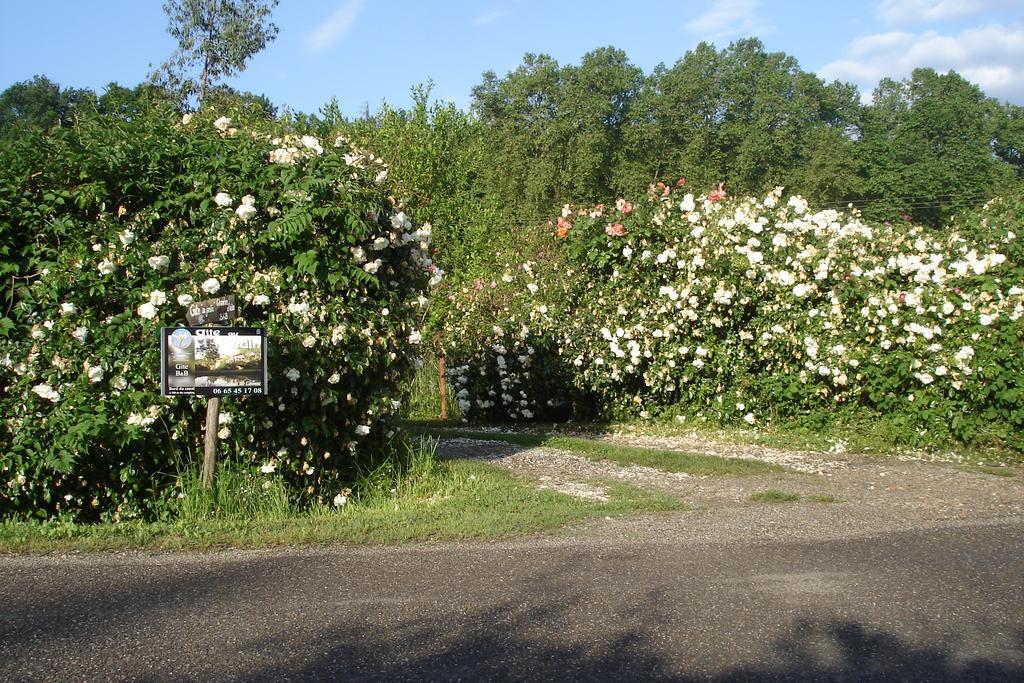 Gite Au Jardin Meilhan-sur-Garonne Luaran gambar