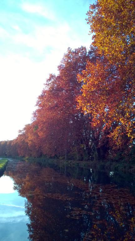 Gite Au Jardin Meilhan-sur-Garonne Luaran gambar