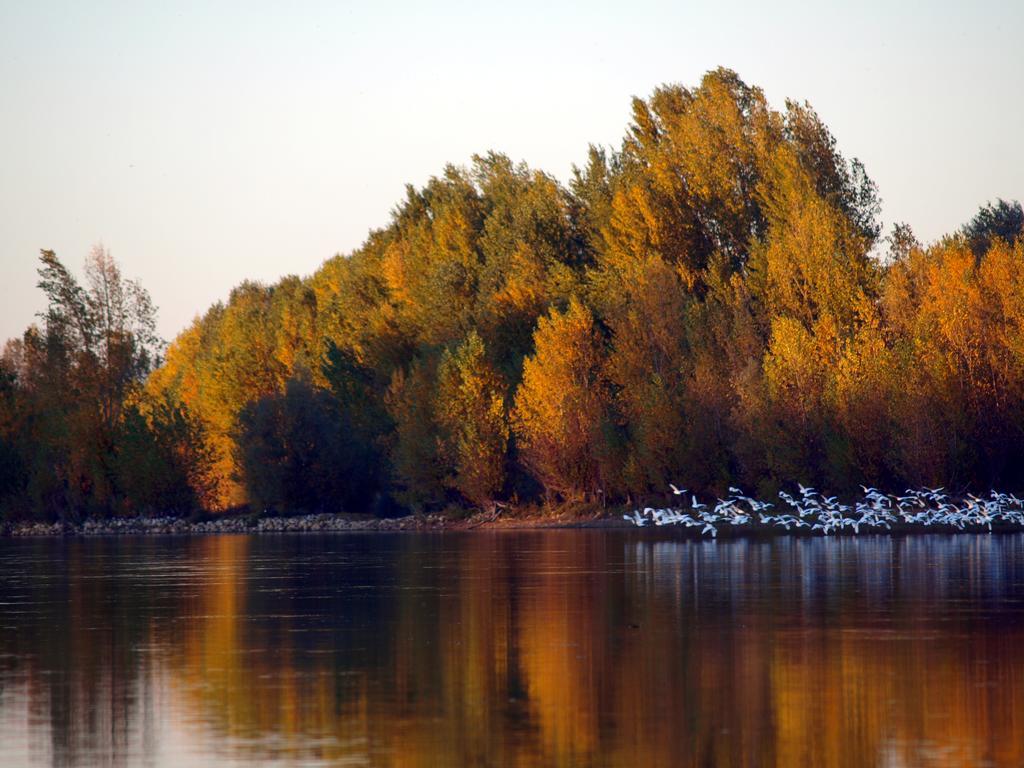 Gite Au Jardin Meilhan-sur-Garonne Luaran gambar